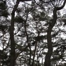 진명추어탕 | 송호리캠핑장 후기 1편 -충북 영동 ( 2011년 5 27~29일)