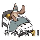 저체중 부방장님~🤭 이미지