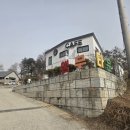 아이타운 | 양평앵무새카페 앵무타운 아이들과 다녀온 특별한 체험 후기