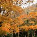 진포여성산악회 11.1(첫째토) 산행안내[해남 두륜산] 이미지