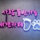 루프앤독 이미지