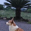 한동스테이 이미지