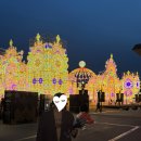 걸어서 벤츠까지 노래연습장 | 소피텔 레스파스 <이브닝 디너 세트> 후기 - 남편 생일 기념 식사,잠실 석촌호수뷰💙레스토랑