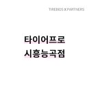 타이어프로능곡점 이미지