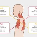 개금 피티필드 이미지