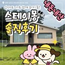 경북애견 | [경북 상주] 부모님도 만족한 애견 독채 펜션! 스테이몽 여름휴가 후기