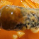 평강교회 옆 이미지