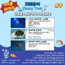 히마와리 투어