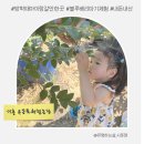 순용농장 | 시흥 온동물체험농장 : 블루베리 따기 체험 물놀이 모래놀이 총정리