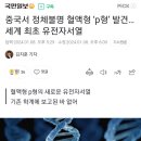 중국서 정체불명 혈액형 ‘p형’ 발견… 세계 최초 유전자서열 이미지