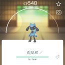 리오르