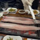 불수성풍천장어 이미지