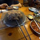 조선갈매기