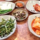 토속삼계탕 Daum카페