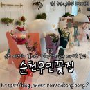 씨유조례봉화골드점 | 순천 예약없이 꽃다발 화분 당일구매 가능한곳 순천무인꽃집 개업축하선물 귀여운화분