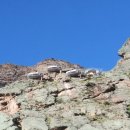 신성호텔 이미지