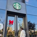 가자 펫 택시 | 상하이 2박 3일 – 쉴 틈 없는 인간 GPS의 기록