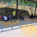 레몬펜션 이미지