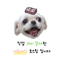 페블라썸