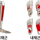 오브유필라테스