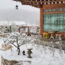 란스테이 이미지