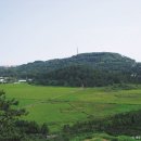 서귀포시삼매봉도서관 이미지