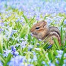 김밥천국 (동문점) 이미지