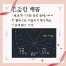 주부 뱃살 아랫배 빼는 방법