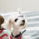 아르릉