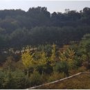 광교로공인중개사사무소 이미지