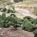 고북농장 이미지