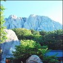 933차 정기산행 설악산(토왕성 폭포/울산바위) 이미지