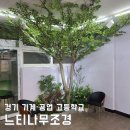 기계공업고등학교 | 인조 나무 인테리어, 경기 기계 공업 고등학교, 실내 조화 조경 후기!