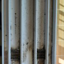 죽정주공아파트 이미지