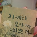 캘리그라피 컬러링 이미지