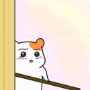 캠핑히포