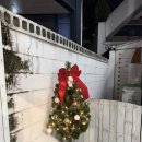 참치곶간 | 2025 송년모임 (일본 갔지만 일본 안 간..)