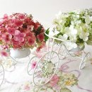 좋은친구들 이미지