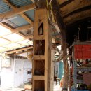 도토리숲속학교 이미지