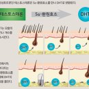 보령약국 네이버블로그