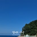덥서프양양