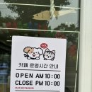 멍브라더 애견카페 | [광주] 반려견과 함께하는 실내놀이터 | 첨단 어바웃멍 광주애견카페 후기