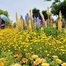 이재홍내과의원 이미지