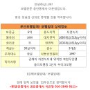 BS부산공인중개사사무소 이미지