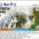 한티 이미지