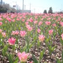 낙동강관리본부 화명생태공원 12 이미지