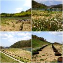 방아농장 이미지