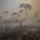 (주)삼림 이미지