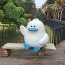 짚라인 타고 들어간 가을 남이섬 여행기