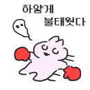 와일드복싱짐 안양관 이미지